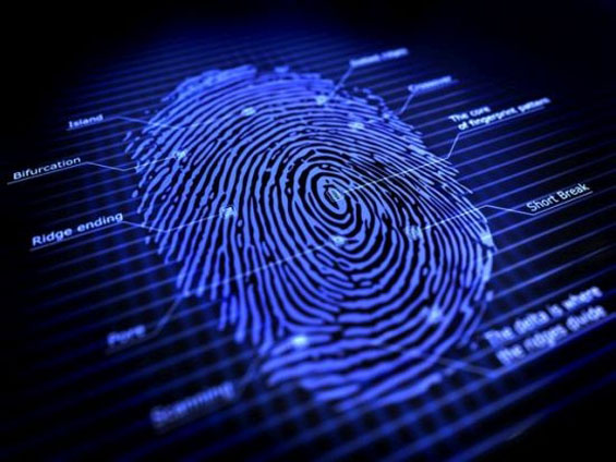 Samsung Fingerprint