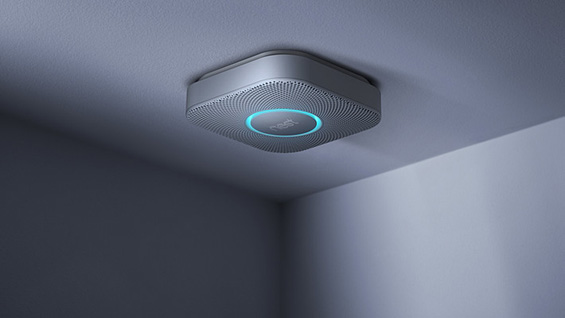 Nest