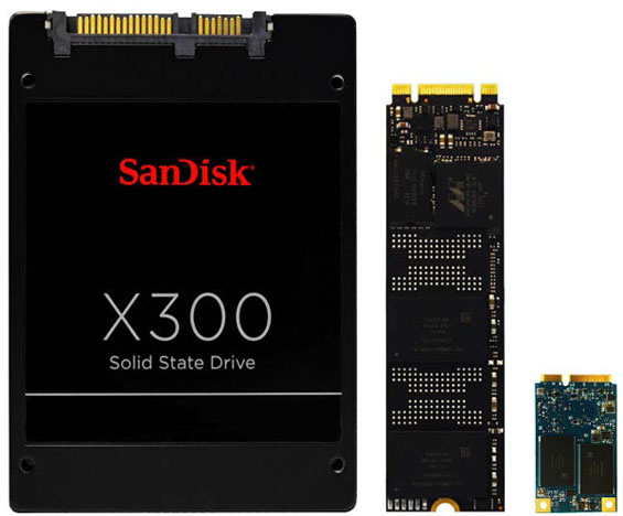 Sandisk_X300