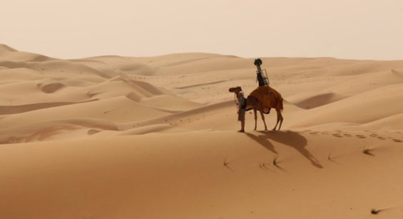 Google-camel-desert